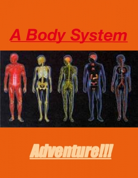 A Body System Adventure