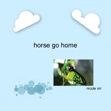 horse go home