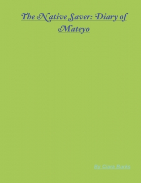 The Mission Saver: Diary of Mateyo