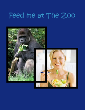 Feed me at The Zoo