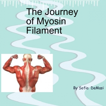 Adventures of Myosin Filament
