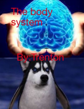 Body system