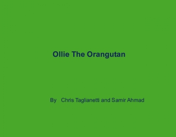 Ollie the Orangutan