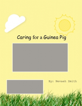Caring for a Guinea PIg