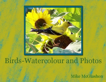 Watercolour birds