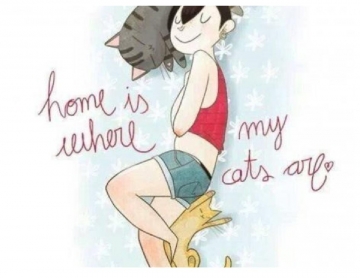 Home is where my cats are at