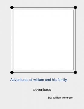 Advenutures of william, his family