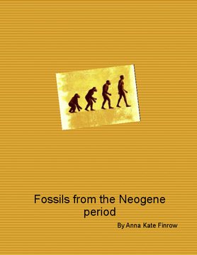 Fossils in the Neogene period