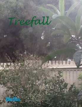 Treefall