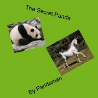 The Secret Panda