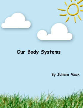 Our Body Systems