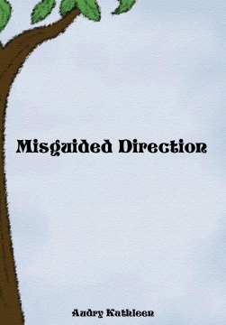 Misguided Directions