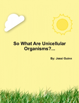 So What Are Unicellular Organisms?...