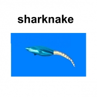 shark and sea snake