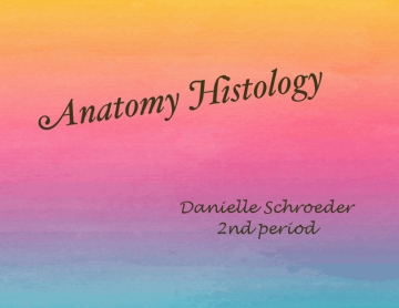 Anatomy Histology