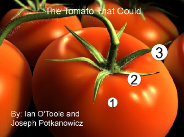 The Tomato That Could