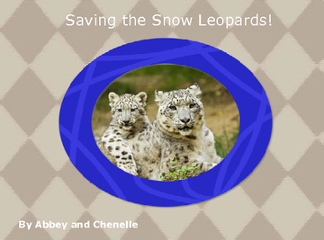 Saving the Snow Leopards!