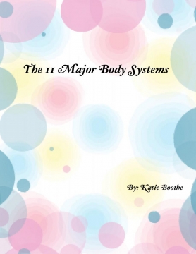 The 11 Major Body Systems