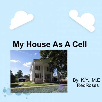 My house as a cell