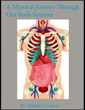 A Magical Journey Through Our Body Systems