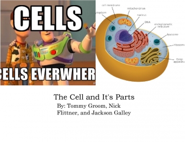 Cell Project