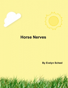 Evelyn's Book