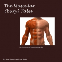 The Muscles of the Body