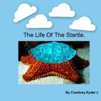 The life of the Startle.