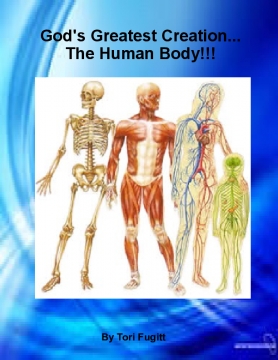 The Human Body!