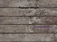 Tsnami Attack