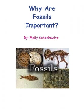 Why Fossils Are Important