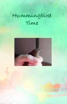 Hummingbird Time