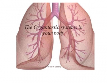 The Organtastic systems of the body