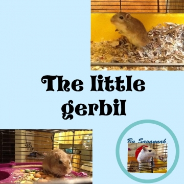 The little gerbil