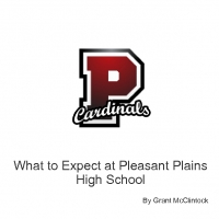 Pleasant Plains High School