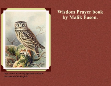 Wisdom Prayer book