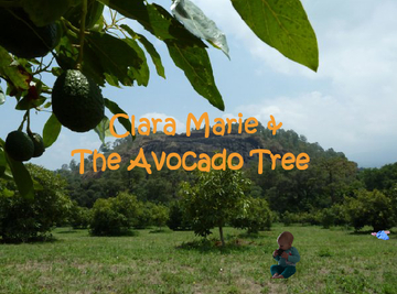 Clara Marie & the Avocado Tree