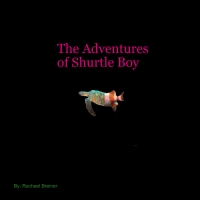 The adventures of Shurtle boy