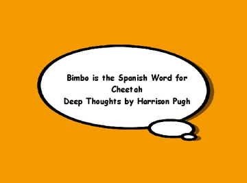 Bimbo is the Spanish Word for Cheetah