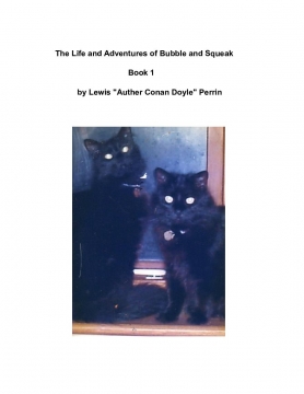 The Life and Adventures of Bubble and Squeak    -   Book 1