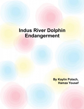 Indus River Dolphin Extinction