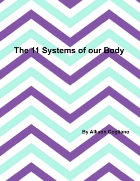 The 11 body systems