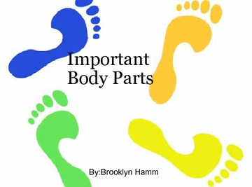 Important parts of the body .