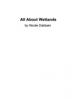 All About Wetlands