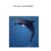 The Story of the Narlphin