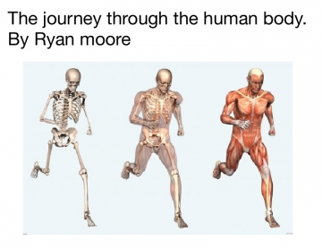 The journey through the human body