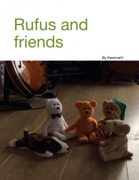 Rufus and friends