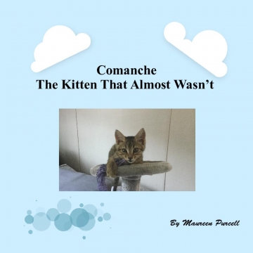 Comanche, The Kitten That Almost Wasn’t