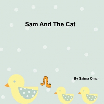 Sam and The Cat
