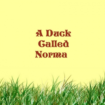 A DUCK CALLED NORMA